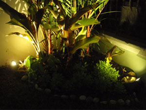 Garden Pond