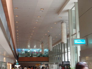 Commercial Hub Ceiling Lighting